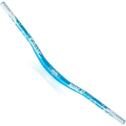 Guidon ALU bleu